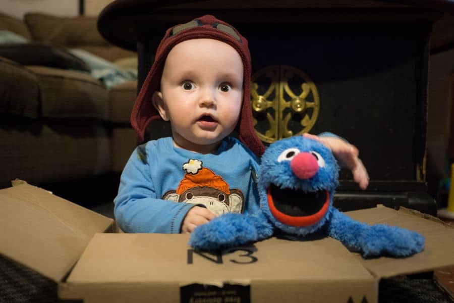 boy playing in cardboard box with grover