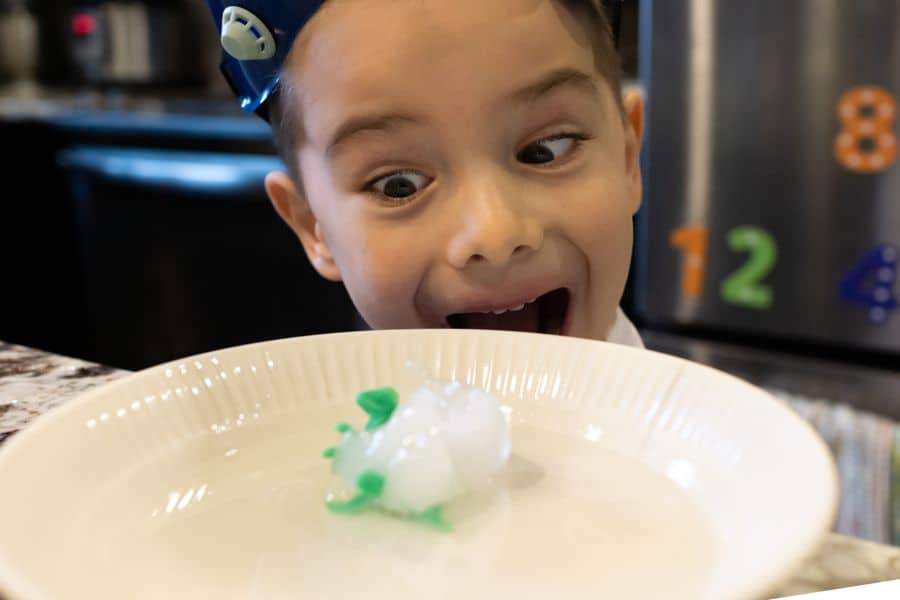 Dinosaur Activity Ice Egg