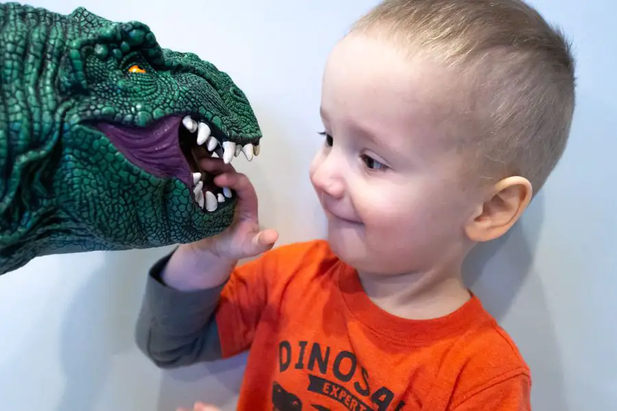 little boy with dinosaur puppet