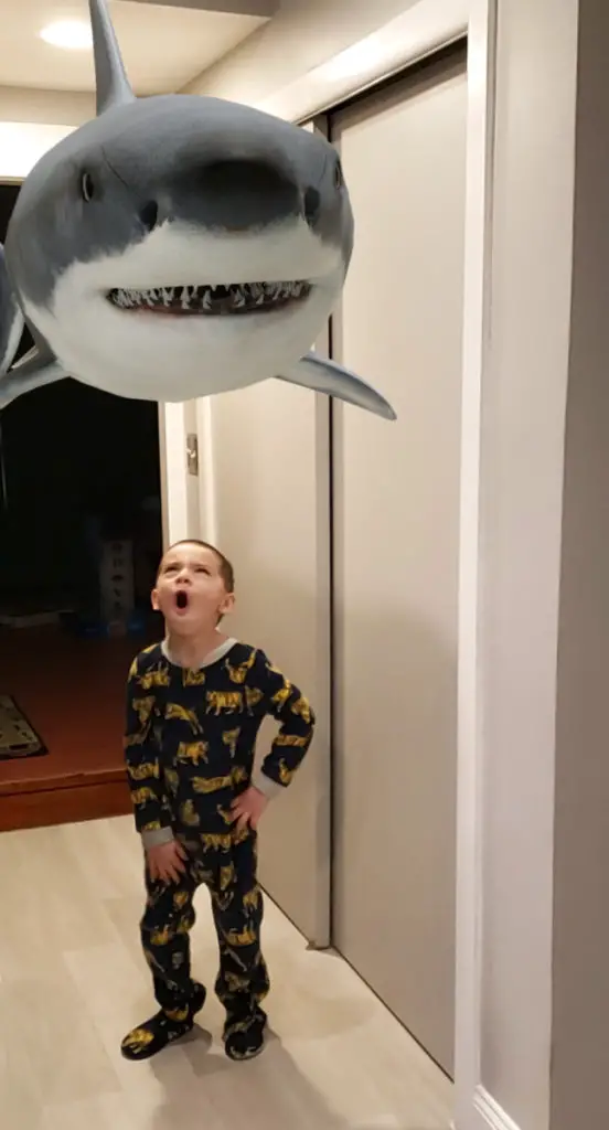 Augmented Reality Shark floating in the kitchen