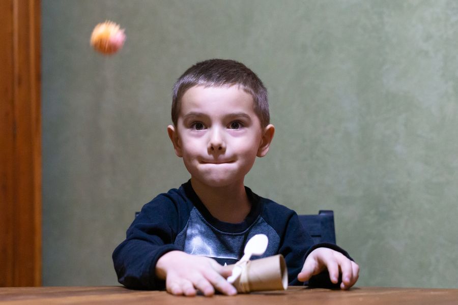 Toilet Paper Roll Catapult STEM Activity