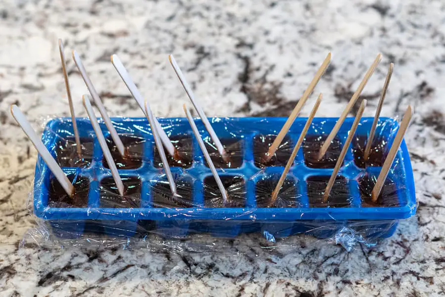 DIY Popsicles