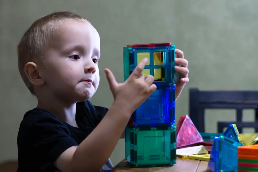 Magnetic Tiles STEM Toy