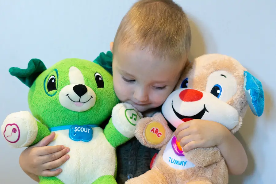 Stuffed animal interactive STEM toys