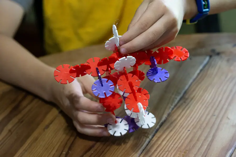 DIY Locking Discs Building Toy 