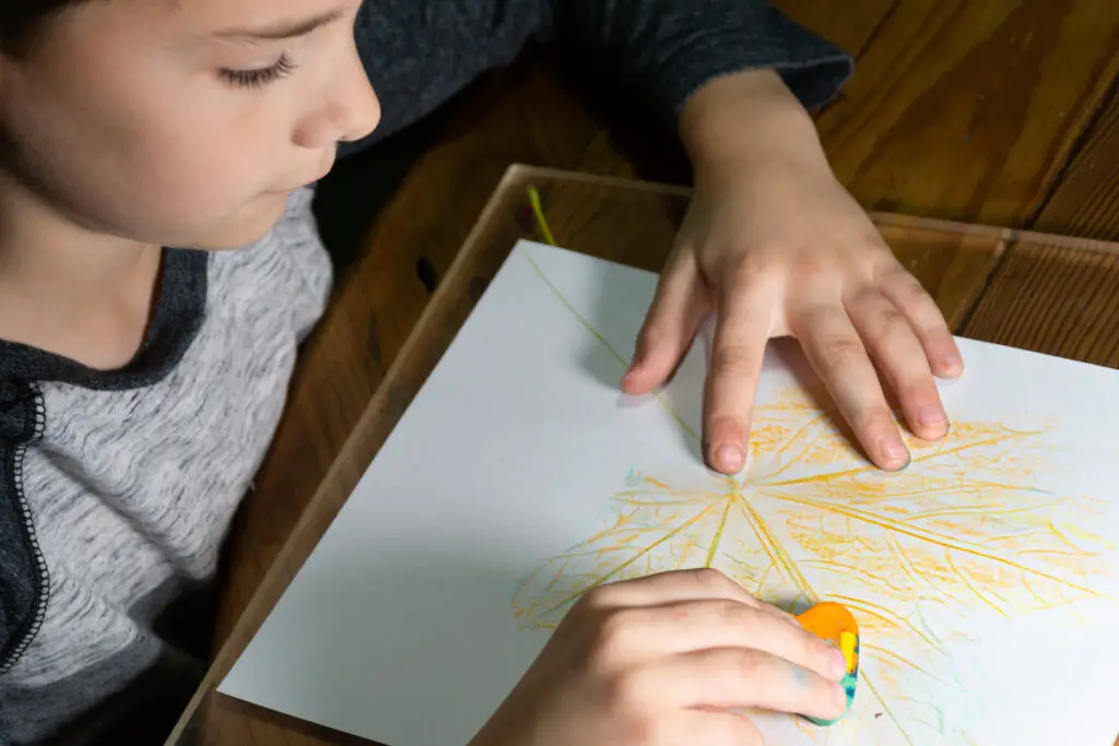 Leaf Rubbing Activity