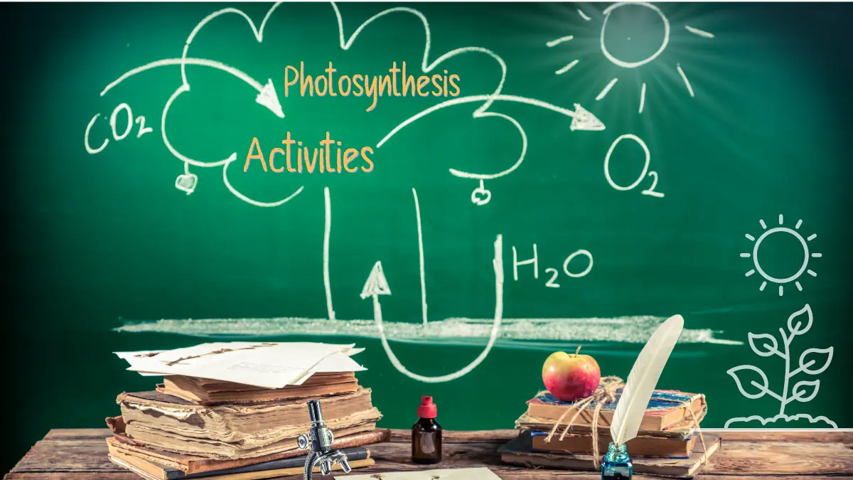 STEM Activities with Photosynthesis