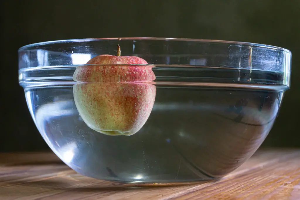 Floating Fruit STEM Experiment