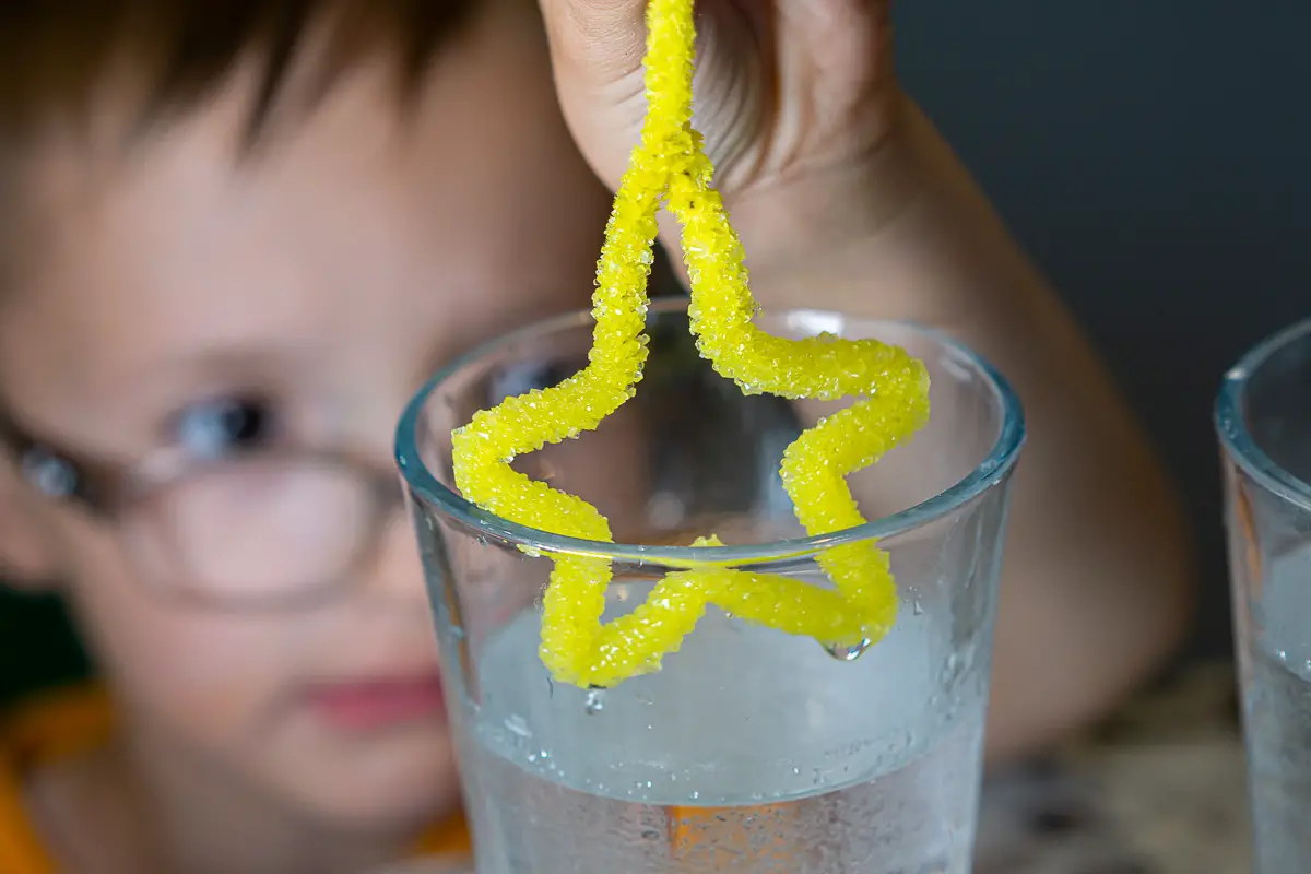 Pipe Cleaner Crystals