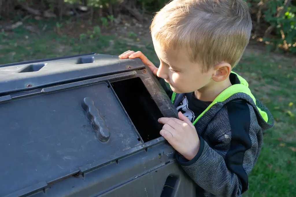 Plant Activities.Compost