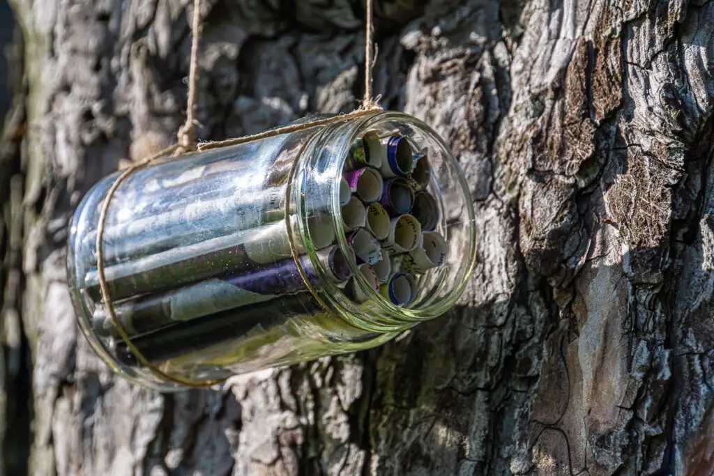 Bee Hotel Jar