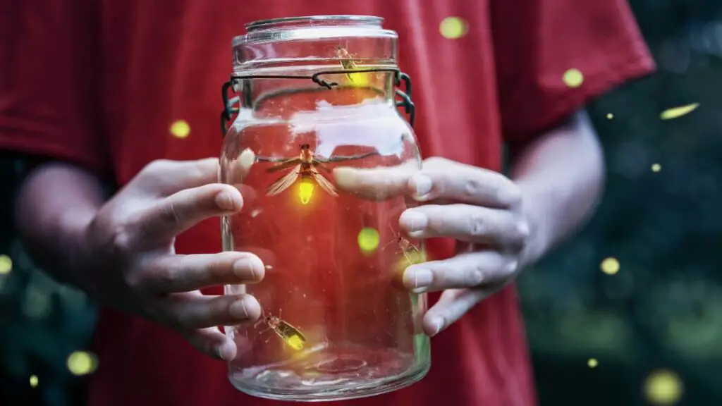 Firefly Jar Lantern