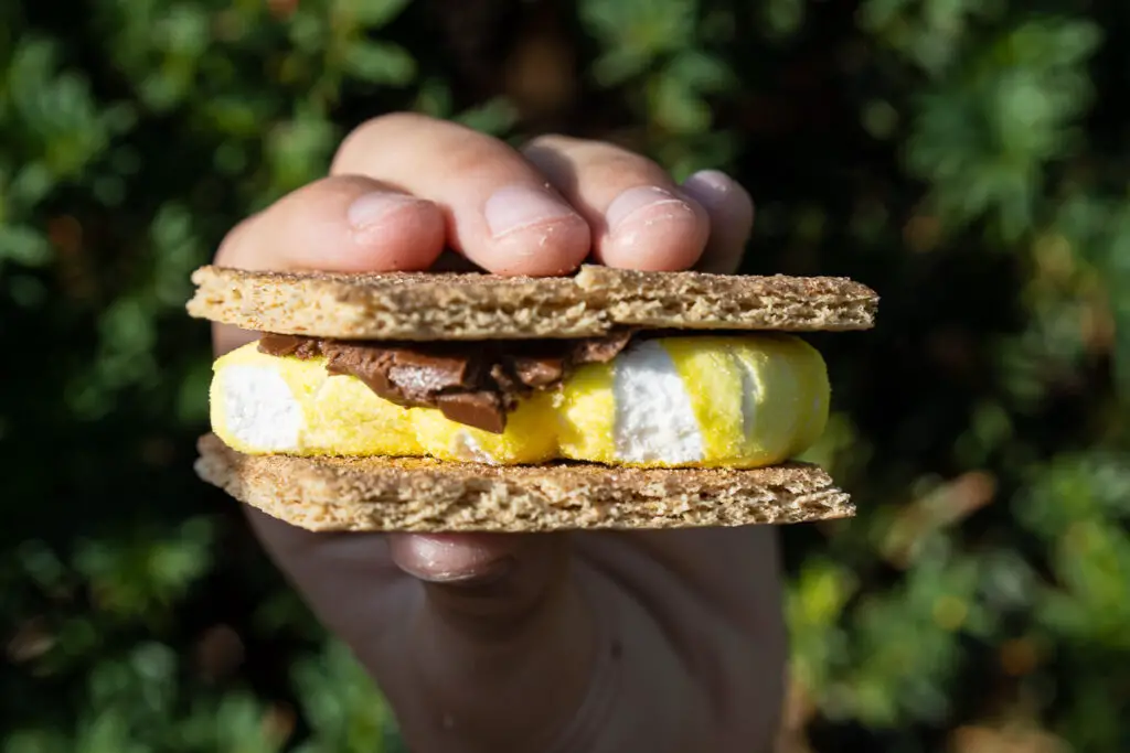 S'mores cooked in a Solar Oven Pizza Box