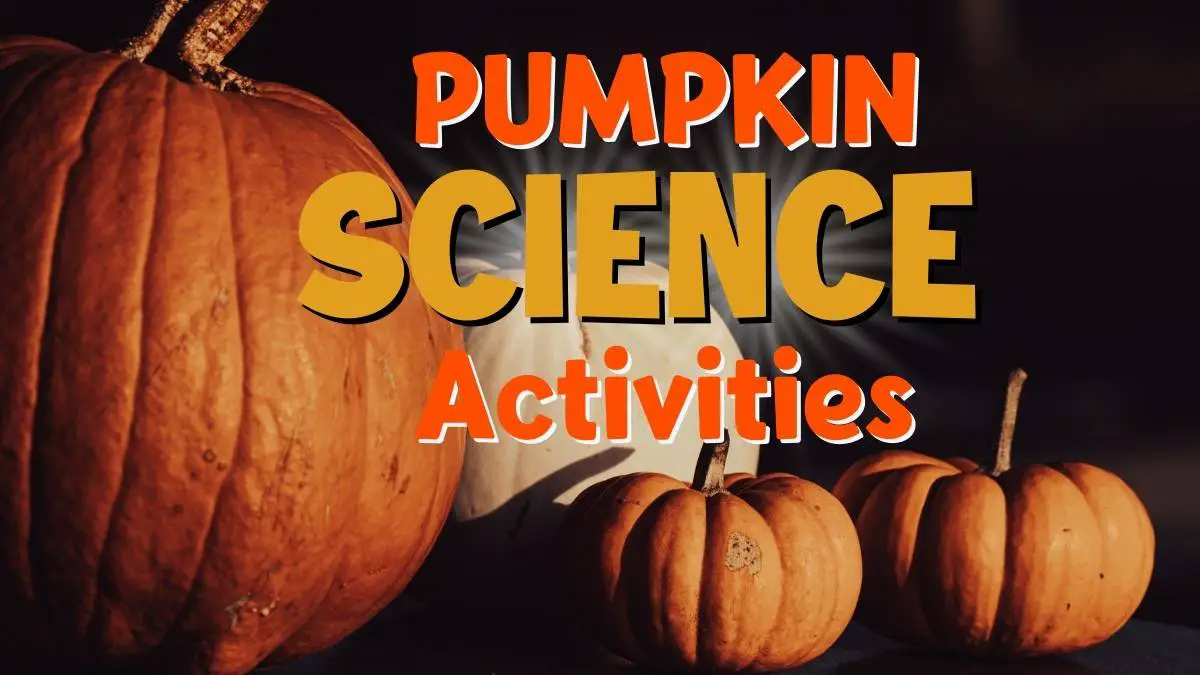 STEM Activities with Pumpkins