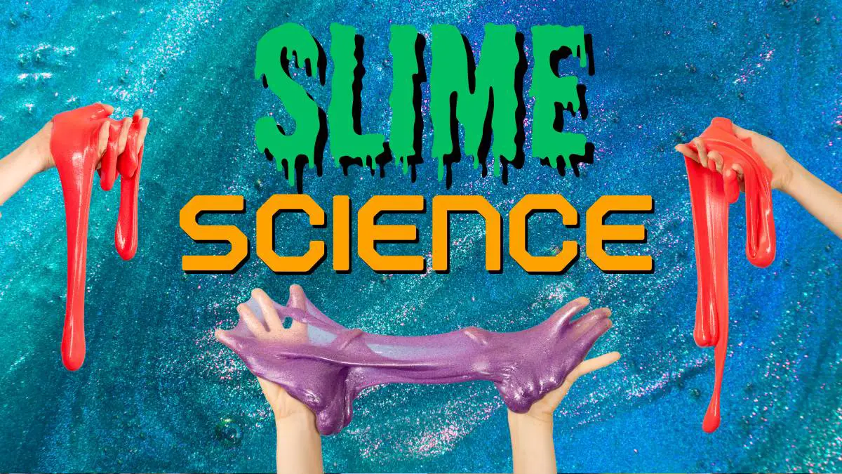 The Science of Slime: What makes Slime work?