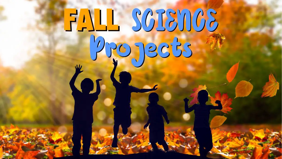 Fall Science Activities for Kids