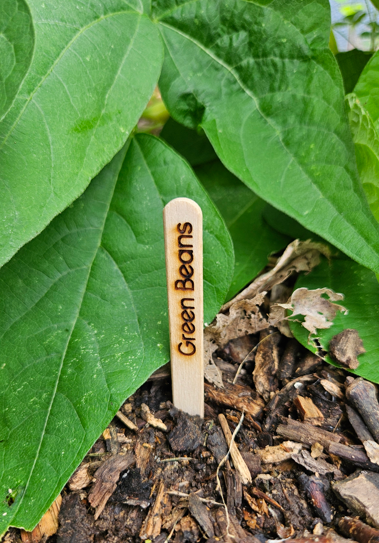 Laser Engraved Craft Stick Garden Label