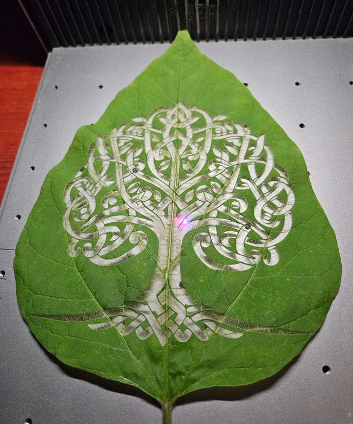 Laser Engraved Leaf